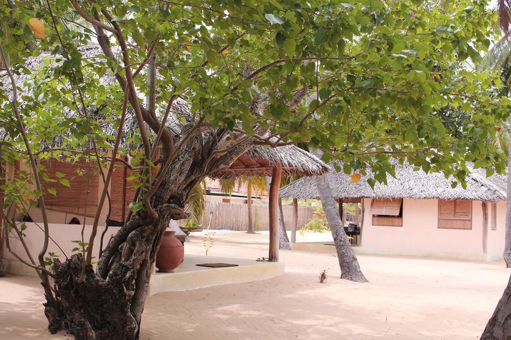 Cocodance Kitesurfing Resort Kalpitiya Exteriör bild