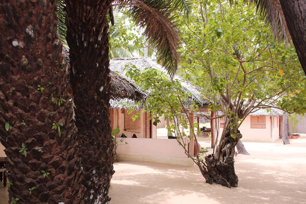 Cocodance Kitesurfing Resort Kalpitiya Exteriör bild