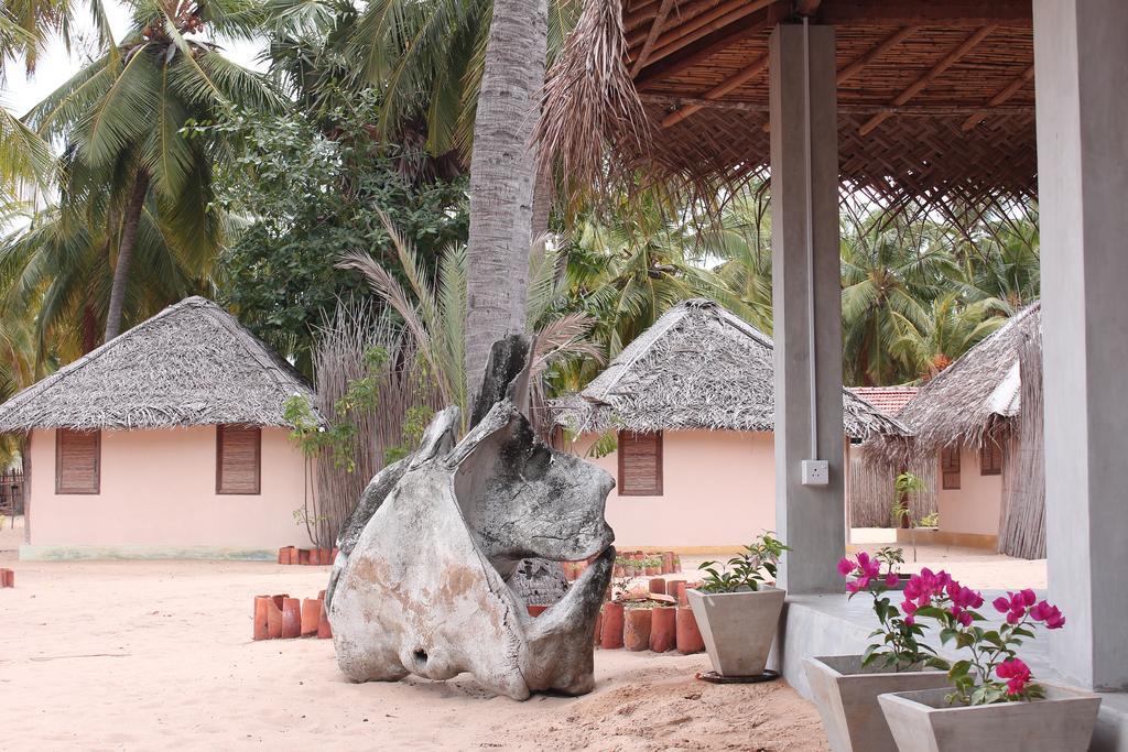 Cocodance Kitesurfing Resort Kalpitiya Exteriör bild