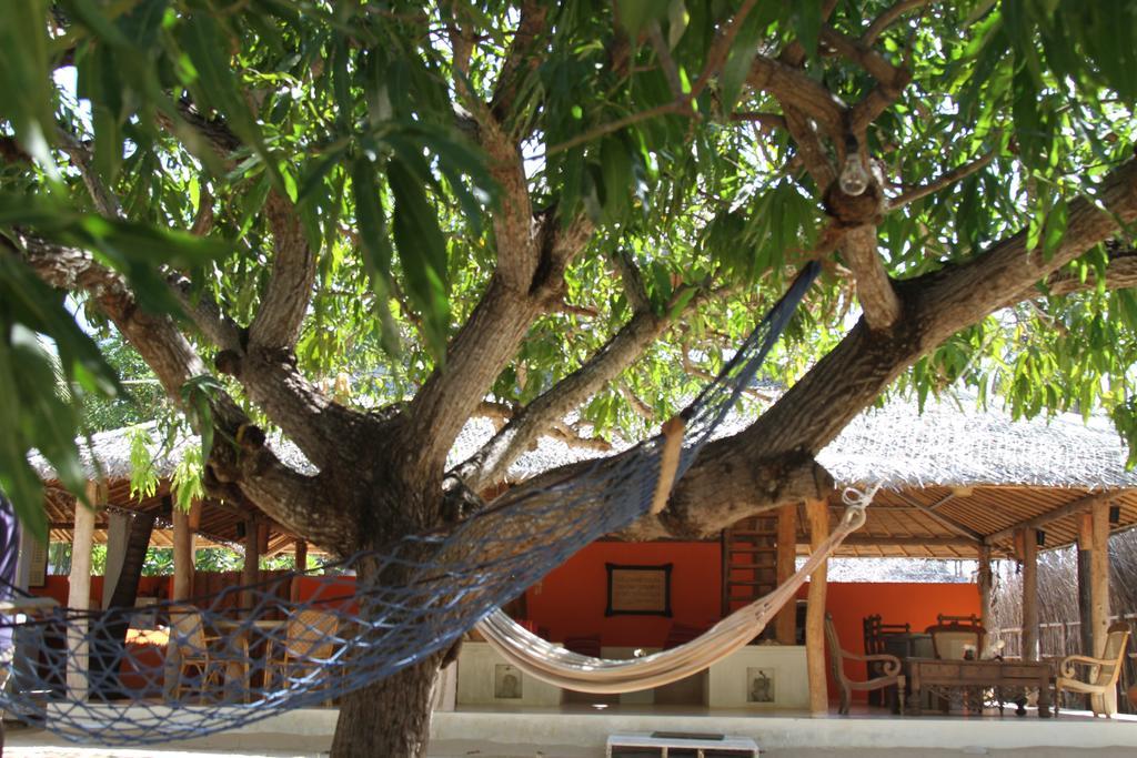 Cocodance Kitesurfing Resort Kalpitiya Exteriör bild